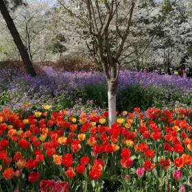 Chouzhou Park