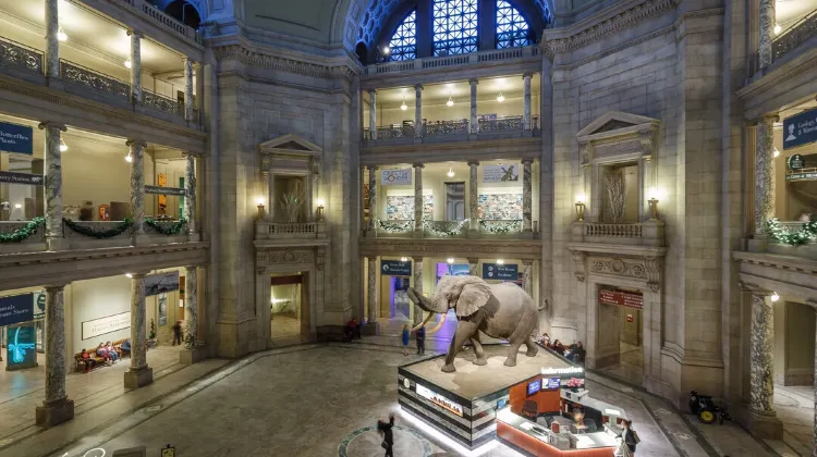 国立自然史博物館のレビュー 国立自然史博物館のチケット 国立自然史博物館の割引 国立自然史博物館の交通機関 所在地 営業時間 国立自然史博物館周辺の観光スポット ホテル グルメ Trip Com 国立自然史博物館のレビュー 国立自然史博物館のチケット 国立自然史博物館の割引 国立自然史博物館の交通機関 所在地 営業時間 国立自然史博物館周辺の観光スポット ホテル グルメ Trip Com