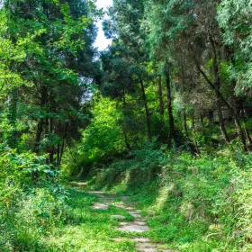 Chuan-Shan Shu Road Ruins