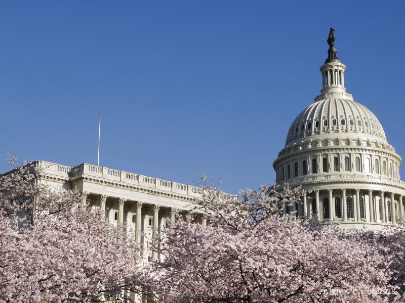 アメリカ合衆国議会議事堂の写真 ワシントンd C の観光スポットの写真 Tripメモリー アメリカ合衆国議会議事堂の写真 ワシントンd C の観光スポットの写真 Tripメモリー