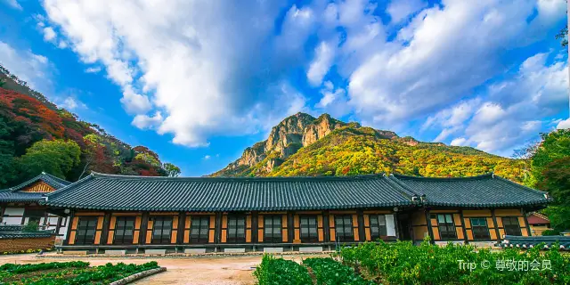 22全羅南道自由行 全羅南道旅遊攻略 熱門推薦全羅南道景點門票 飯店與必吃美食 Trip Com