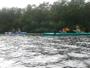 Gulf Coast Kayak