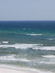 Praia do Rosa Beach