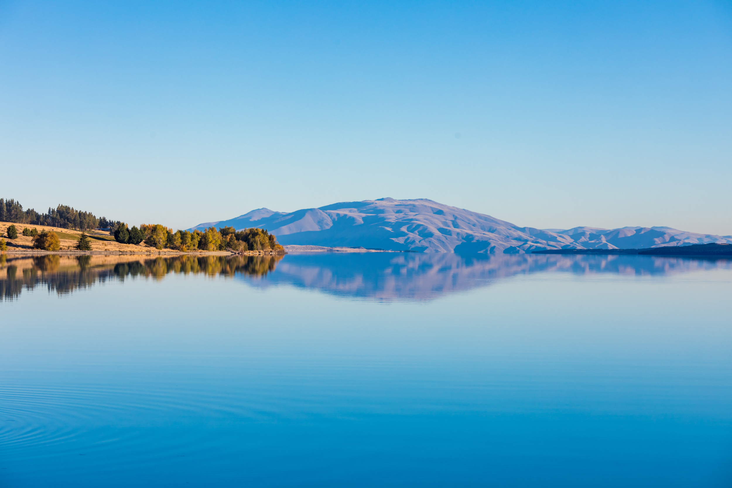 プカキ湖のレビュー プカキ湖のチケット プカキ湖の割引 プカキ湖の交通機関 所在地 営業時間 プカキ湖周辺の観光スポット ホテル グルメ Trip Com