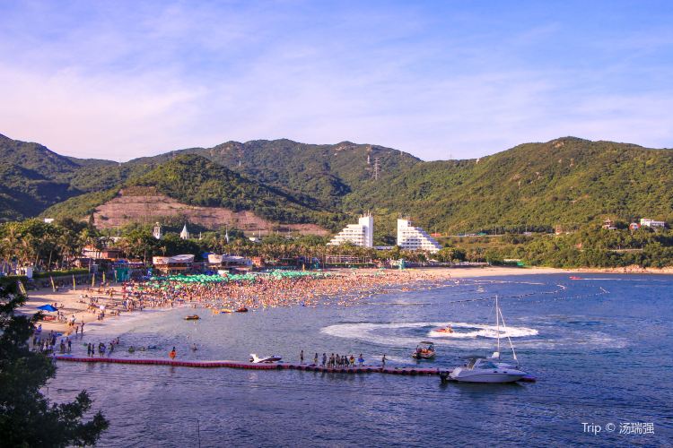 小梅沙旅遊攻略指南 小梅沙評價 小梅沙附近推薦 Trip Com 小梅沙旅遊攻略指南 小梅沙評價 小梅沙附近推薦 Trip Com