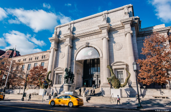 Must-Visit Museums