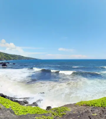 絶対に行くべきハワイ マウイの観光スポット トリップドットコム