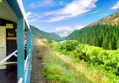 TranzAlpine: Scenic Train Christchurch - Greymouth