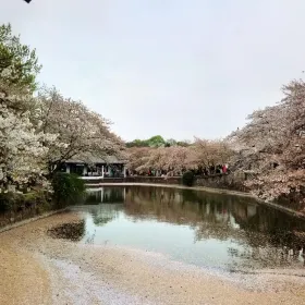 Taihuying Garden