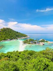 เกาะเต่า