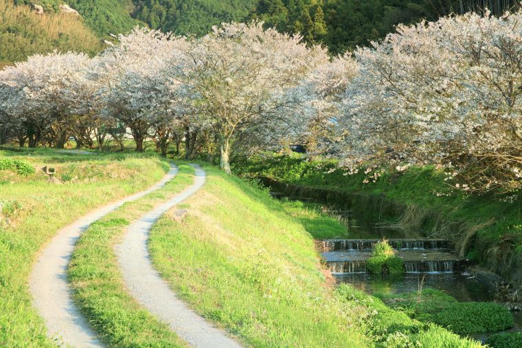 อุณหภูมิในกรกฎาคมในญี่ปุ่นเป็นอย่างไร ต้องเตรียมอะไรบ้าง-Trip.com อุณหภูมิในกรกฎาคมในญี่ปุ่นเป็นอย่างไร ต้องเตรียมอะไรบ้าง-Trip.Com