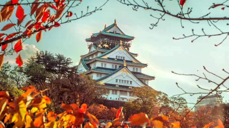大阪城公園景點評價 大阪城公園門票 大阪城公園優惠 大阪城公園交通 地址 開放時間 大阪城公園附近景點 酒店及美食 Trip Com