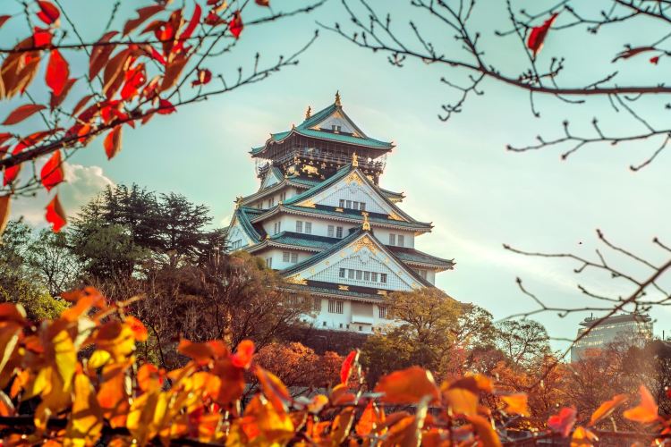 大阪城公園旅遊攻略指南 大阪城公園評論 大阪城公園附近推薦 Trip Com 大阪城公園旅遊攻略指南 大阪城公園評論 大阪城公園附近推薦 Trip Com