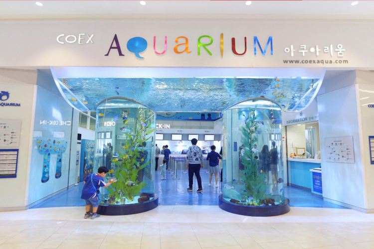 aquarium store nearby