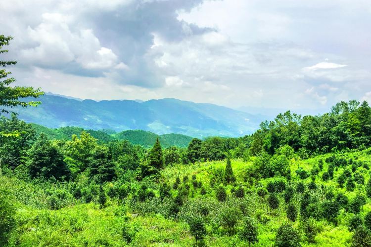 摩圍山風景區旅遊攻略指南 摩圍山風景區評價 摩圍山風景區附近推薦 Trip Com