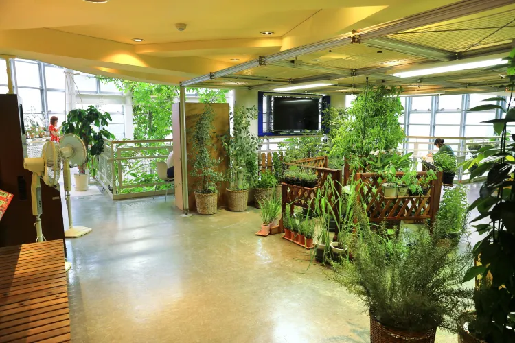 東京 渋谷区ふれあい植物センター 評判 案内 トリップドットコム