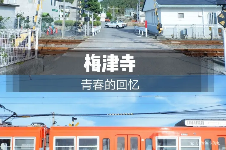 梅津寺旅遊攻略指南 梅津寺評論 梅津寺附近推薦 Trip Com 梅津寺旅遊攻略指南 梅津寺評論 梅津寺附近推薦 Trip Com