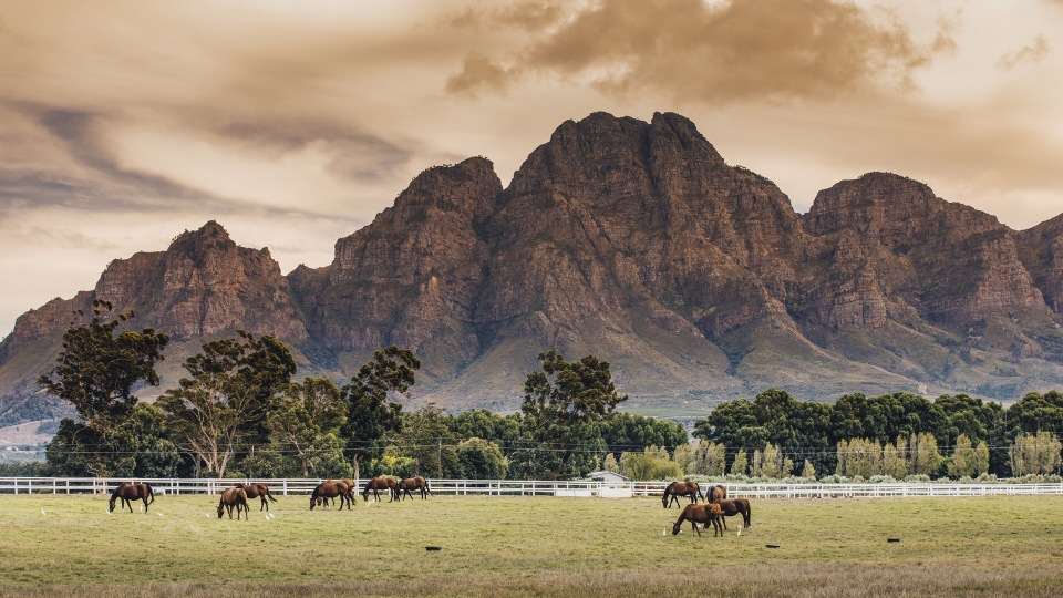 STELLENBOSCH TRAVEL GUIDE AT WIKIVOYAGE visual data 4