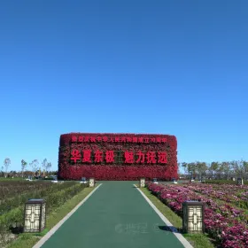 Sanjiang Natural Wetland Reserve