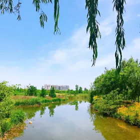 Fengdongfenghe Ecology Sceneic Area