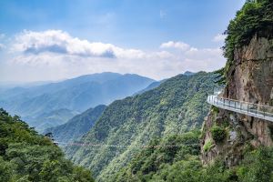 安吉,推薦