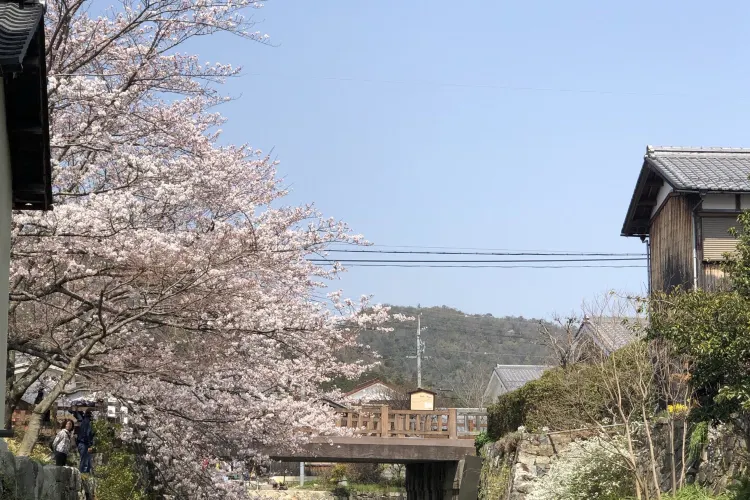 近江八幡 八幡堀 評判 案内 トリップドットコム