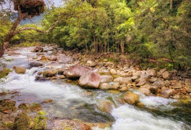 Daintree National Park Popular Attractions Photos