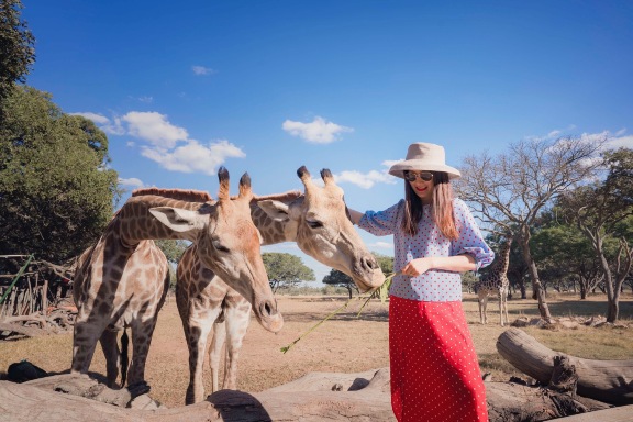 What to Do in Harare in 2 Days? Travel Guide and Tips