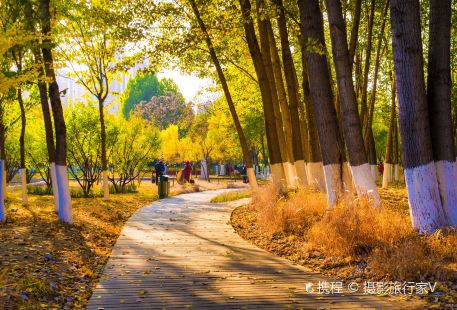 Qinhuang Botanical Garden