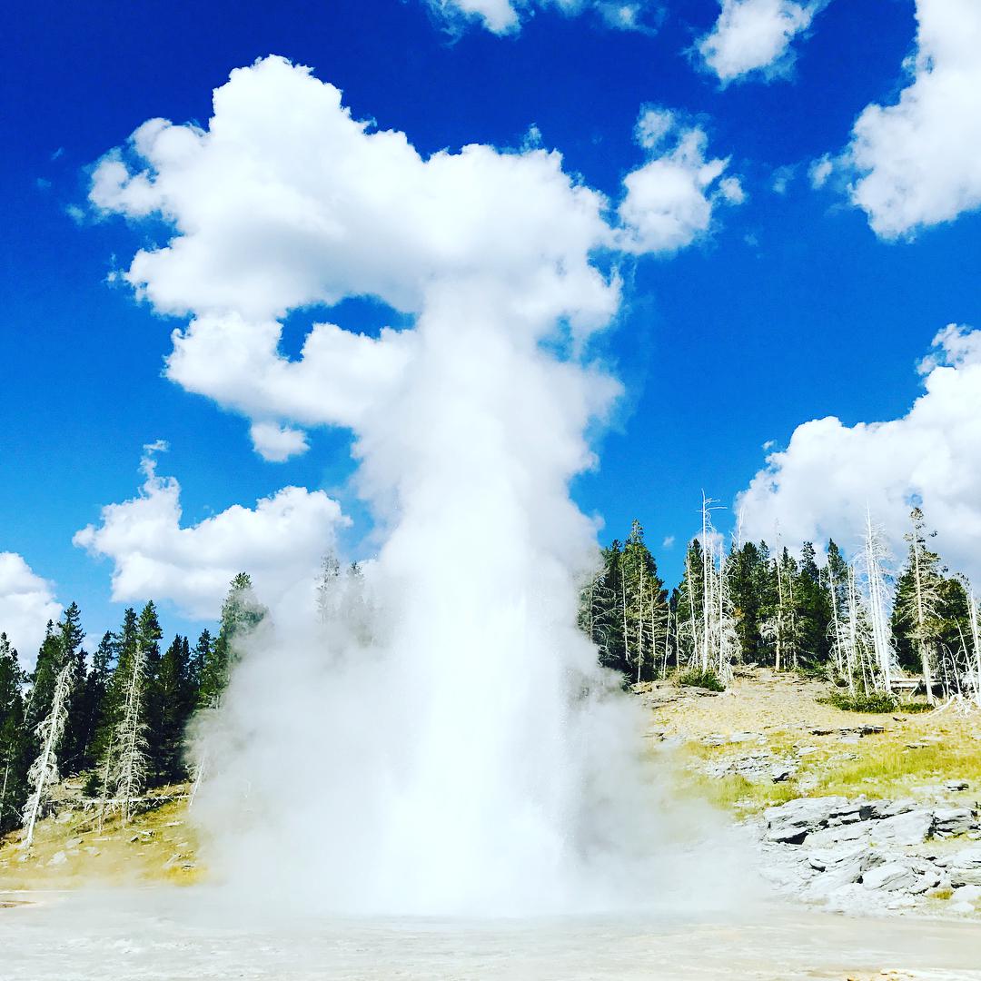 イエローストーン国立公園 Old Faithful Geyser 評判 案内 トリップドットコム