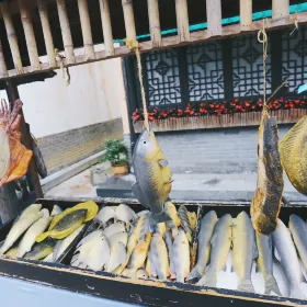 神鵰俠侶城區