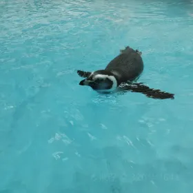 珠海海洋生態館