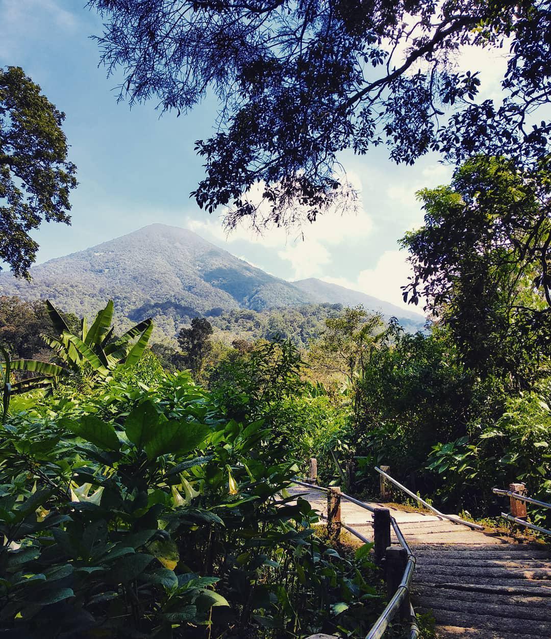 gede pangrango national park