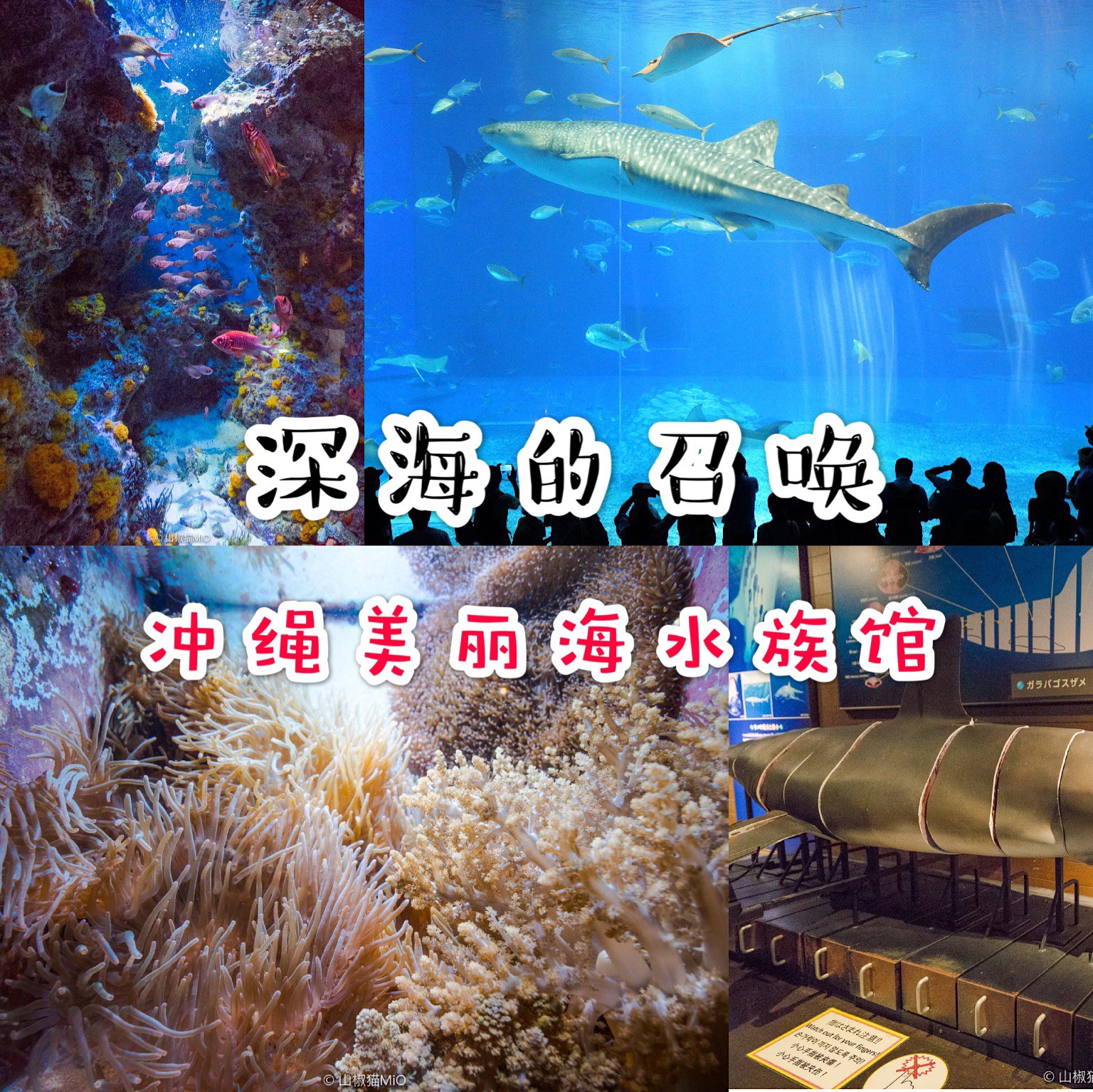Motobu Travel Guide On Trip Moments Trip Com Travel Guide