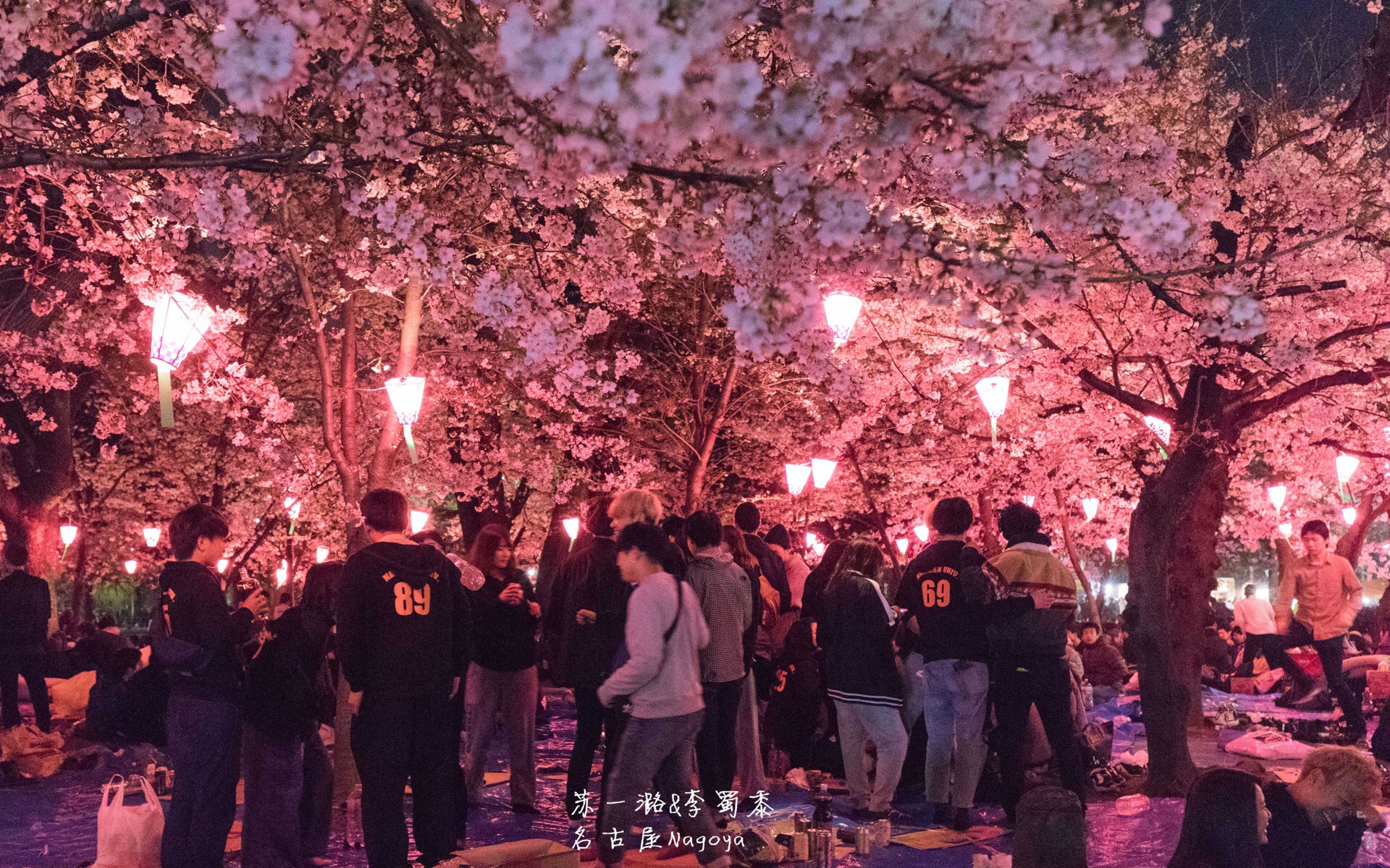 鶴舞公園旅遊攻略指南 鶴舞公園評價 鶴舞公園附近推薦 Trip Com