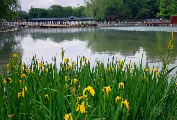 Donghuan Park （West Gate） Popular Attractions Photos