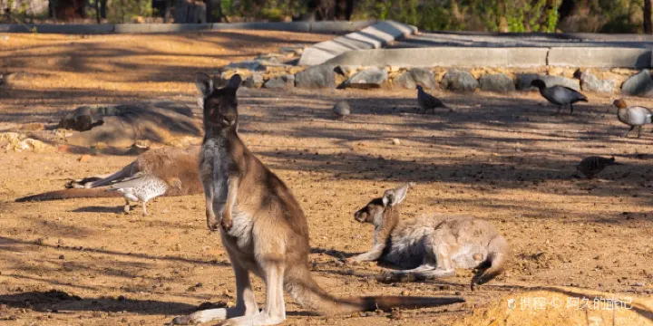 10 Best Things To Do In Hovea Shire Of Mundaring Hovea Travel Guides 21 Trip Com