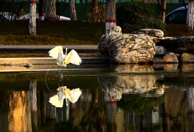 Muta Temple Ruins Ecology Park Popular Attractions Photos
