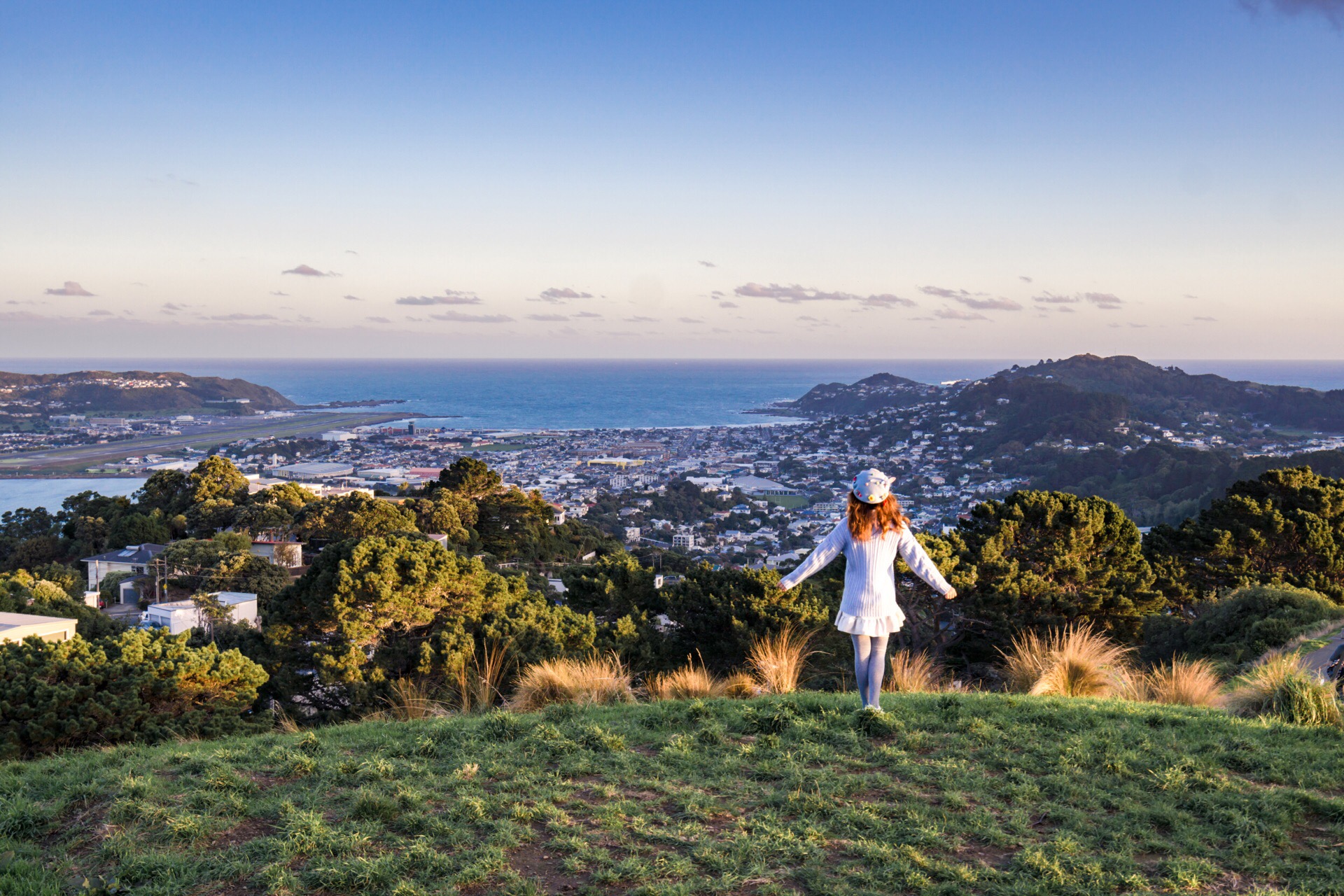 WELLINGTON TRAVEL GUIDE UPDATED 2026 visual data 6