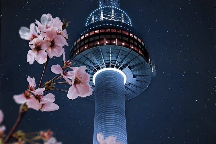N Seoul Tower Night View