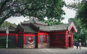 重慶,推薦