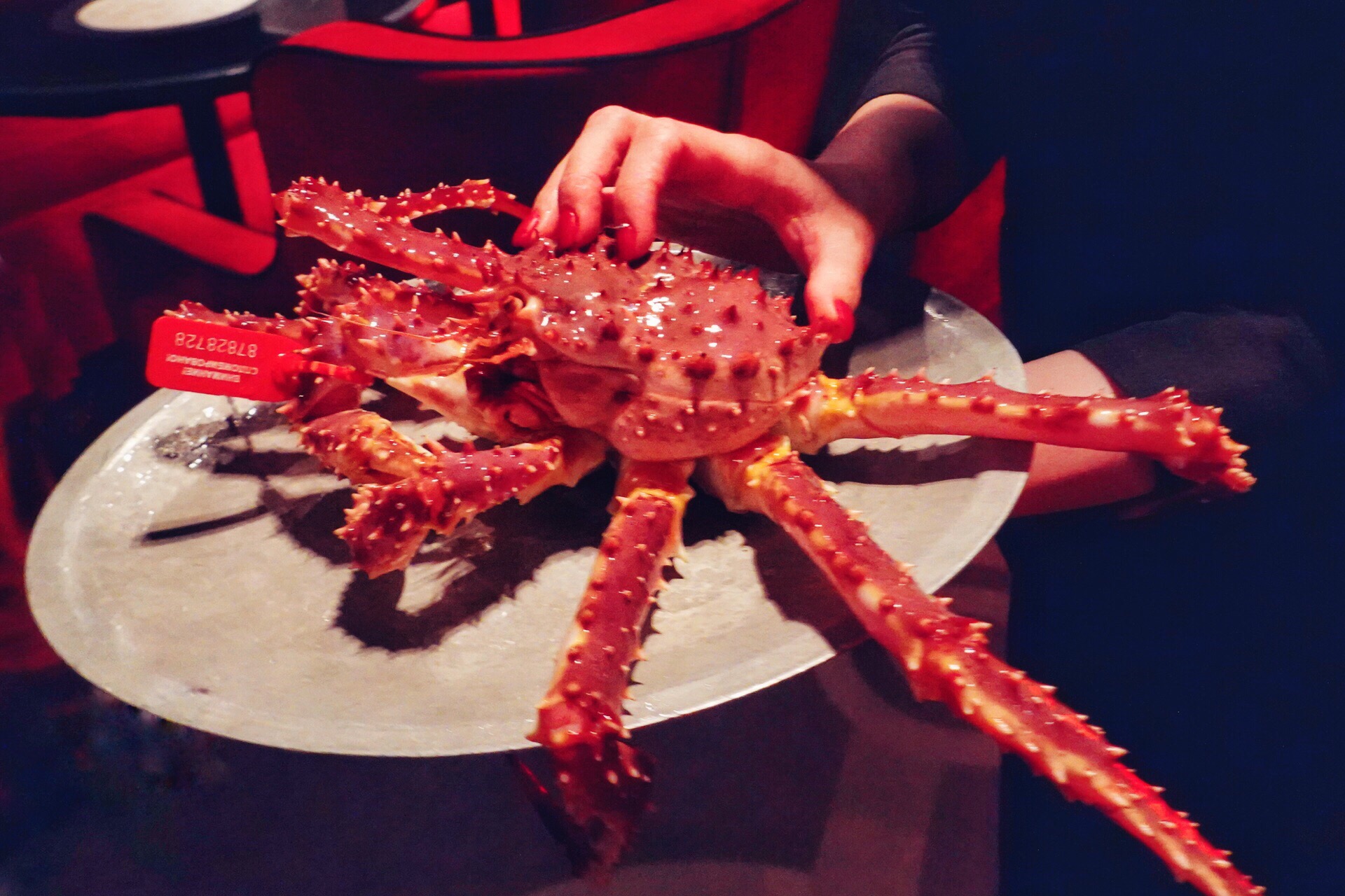 關於那寂靜的森林 河流和海洋 哈巴羅夫斯克 海參崴紀行遊記攻略 Trip Com遊玩攻略