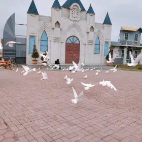 Ocean Hongcun Fishing Village