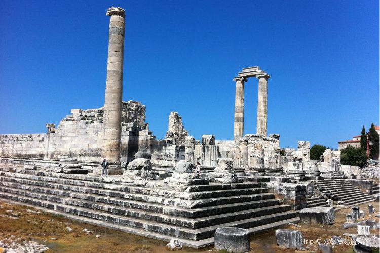 Sanctuary Of Apollo Hylates Travel Guidebook Must Visit Attractions In Limassol Sanctuary Of Apollo Hylates Nearby Recommendation Trip Com