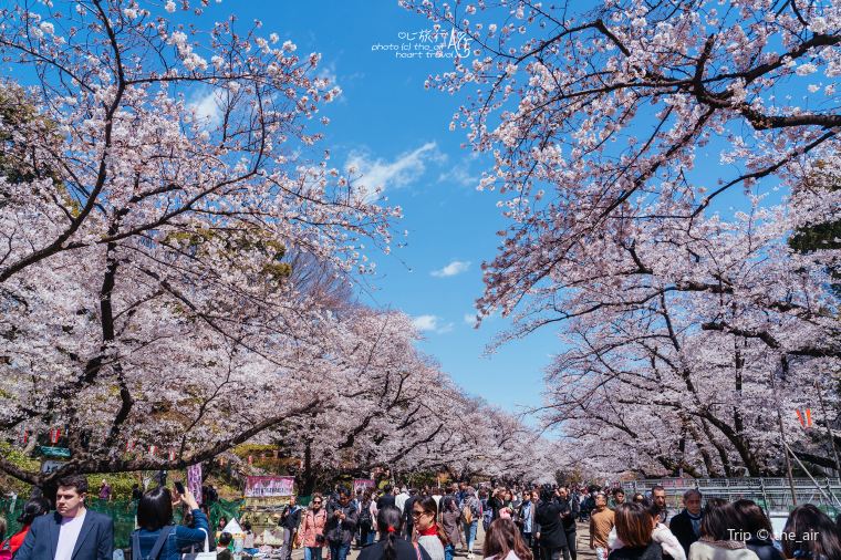 ย่านอุเอโนะ (Ueno)