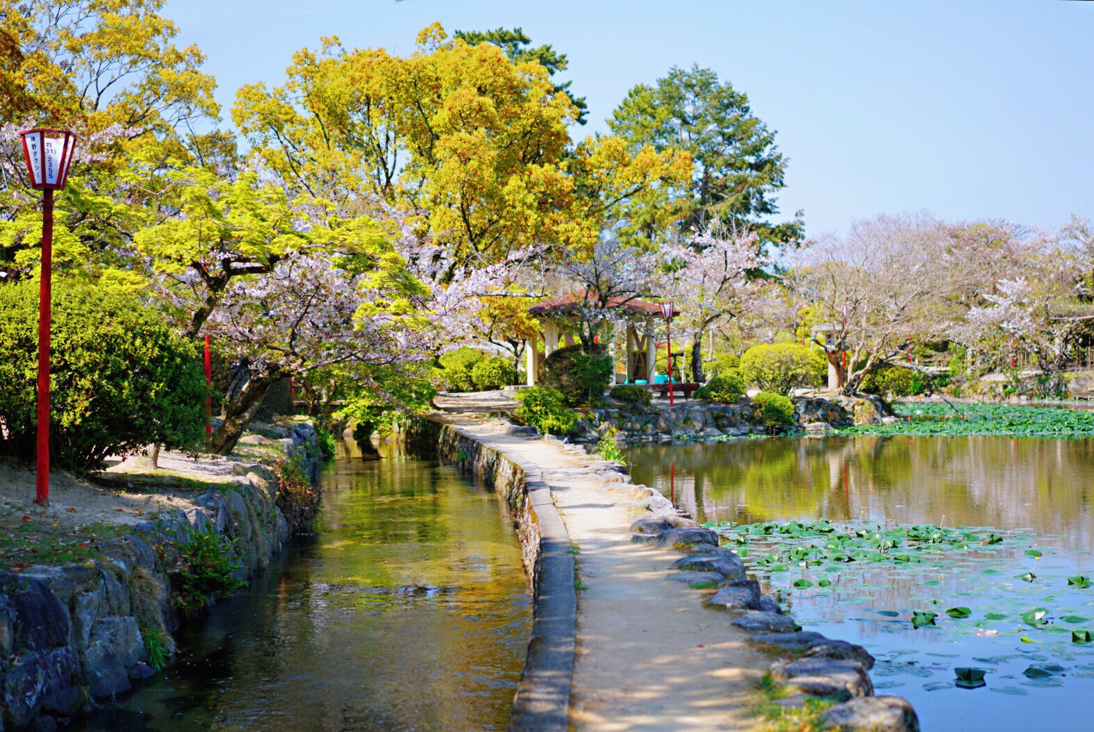 神野公園旅遊攻略指南 神野公園評論 神野公園附近推薦 Trip Com