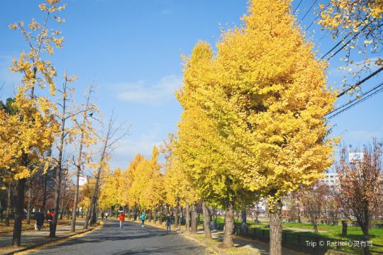 ญี่ปุ่น