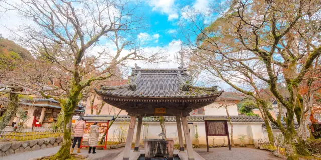 22伊豆熱門推薦活動 伊豆旅遊攻略 伊豆人氣推介景點門票 酒店 好去處 餐飲及餐廳 Trip Com 22伊豆熱門推薦活動 伊豆旅遊攻略 伊豆人氣推介景點門票 酒店 好去處 餐飲及餐廳 Trip Com