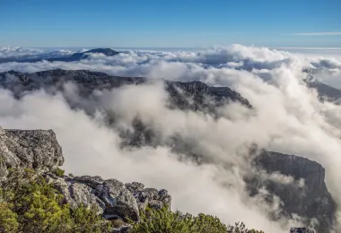 Table Mountain National Park รูปภาพAttractionsยอดนิยม