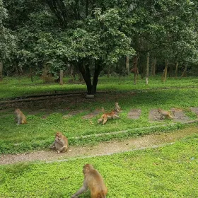 Sipsongpanna Monkey Mountain